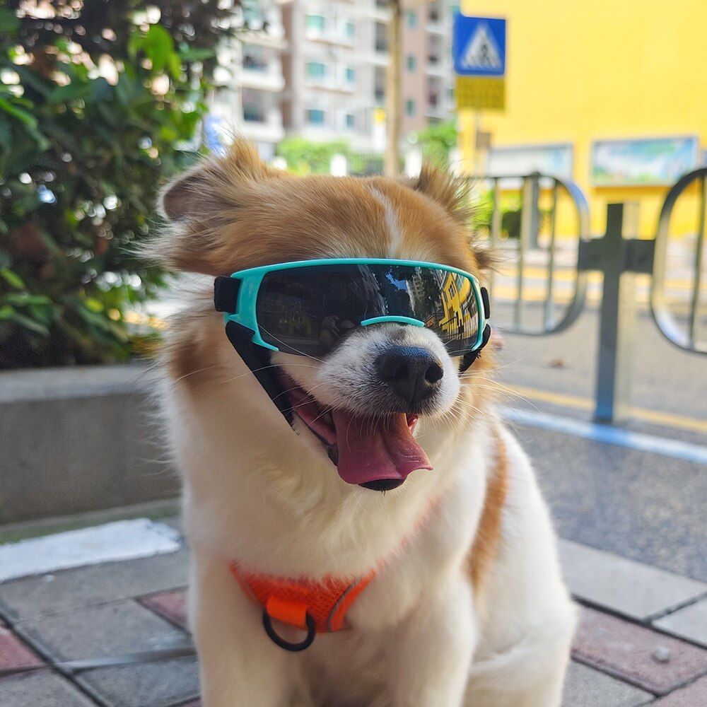 Slim Pet Sun Glasses