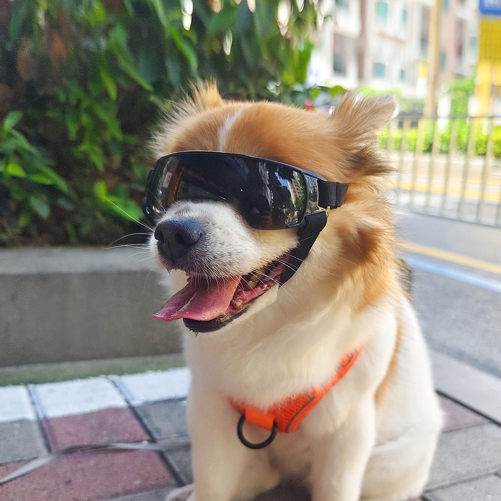 Slim Pet Sun Glasses