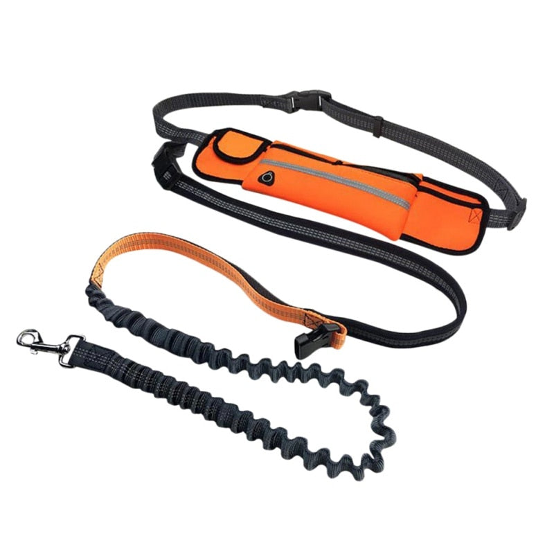 Hands Free Pet Lead With Waist Bag