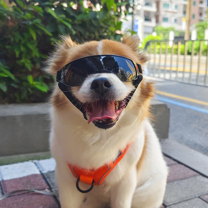 Slim Pet Sun Glasses