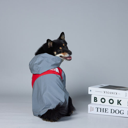 "The Dog Face" Logo Raincoat