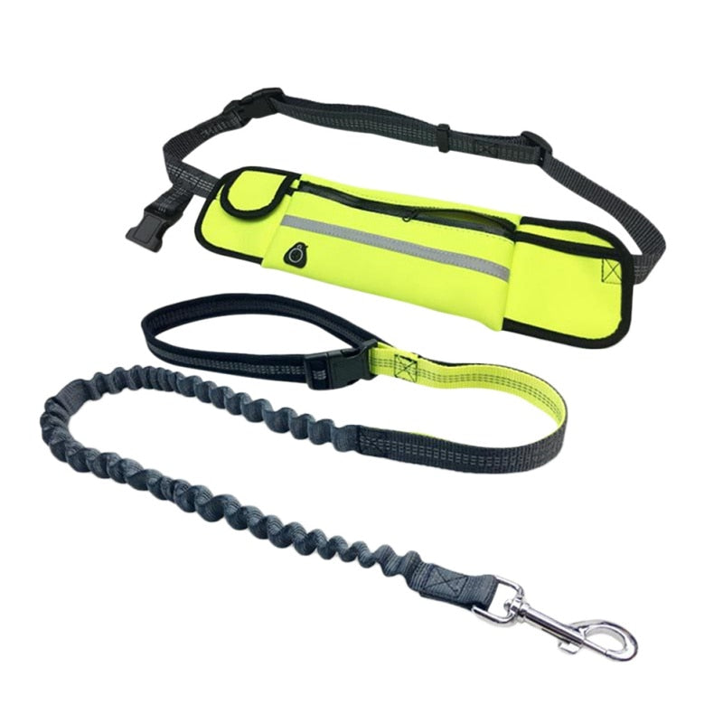 Hands Free Pet Lead With Waist Bag