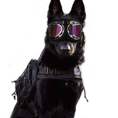 Pilot Style Pet Goggles