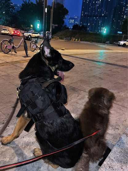 Tactical Dog Vest With Three Velcro Attachments