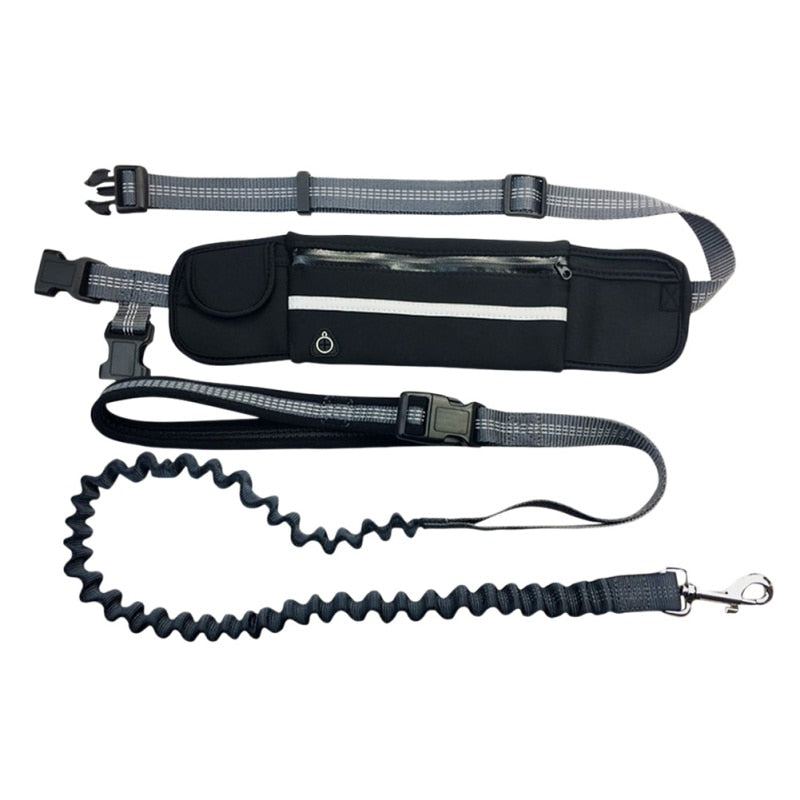 Hands Free Pet Lead With Waist Bag