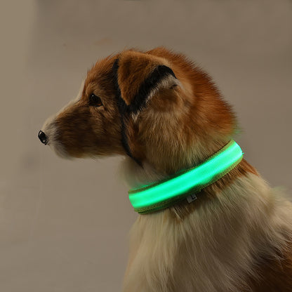 Led Dog Collar