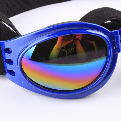 Pet Anti UV Goggles