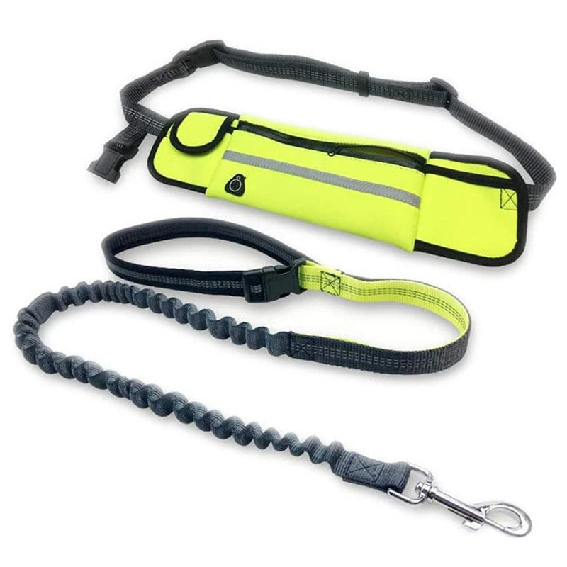 Hands Free Pet Lead With Waist Bag