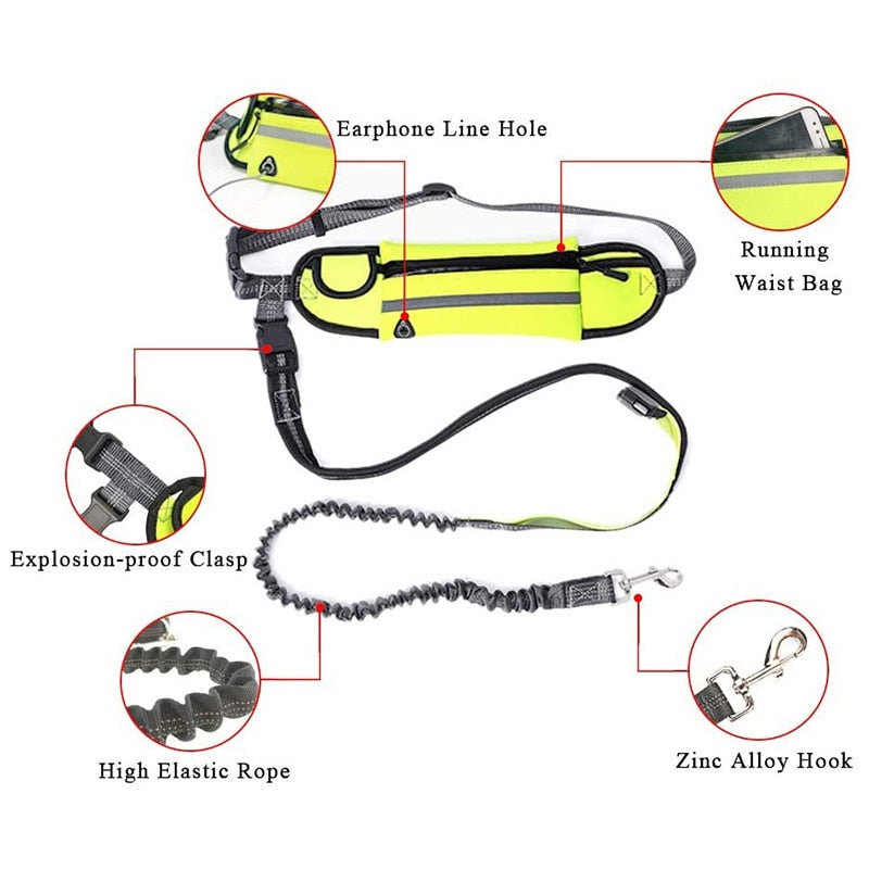 Hands Free Pet Lead With Waist Bag