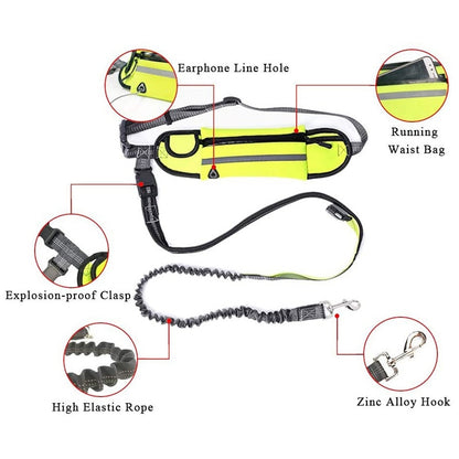 Hands Free Pet Lead With Waist Bag