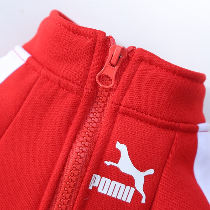 Pomii Logo Track Suit Jacket