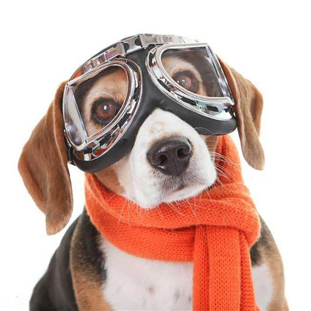 Pilot Style Pet Goggles