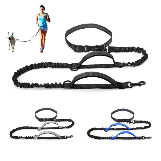 Hands Free Pet Lead