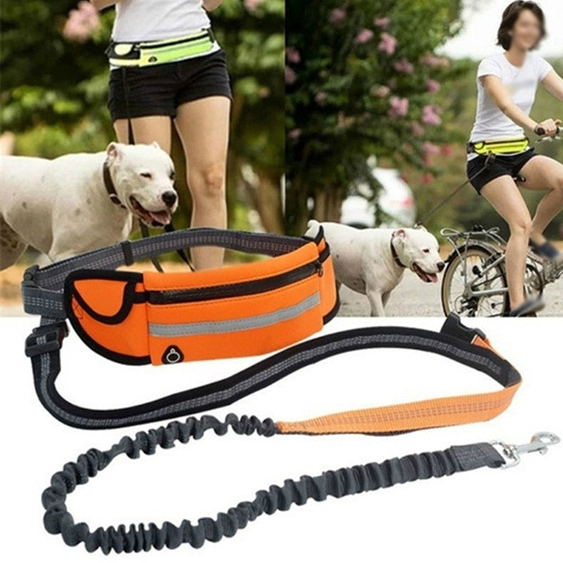 Hands Free Pet Lead With Waist Bag