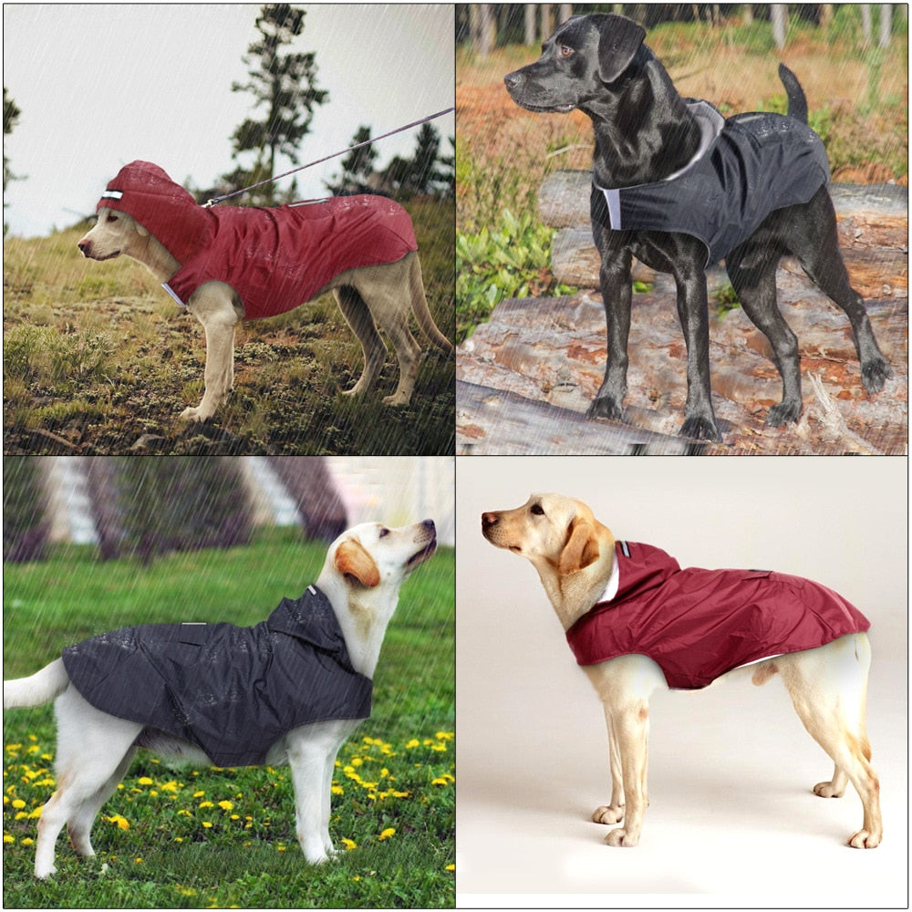 Reflective Water Proof Pet Poncho